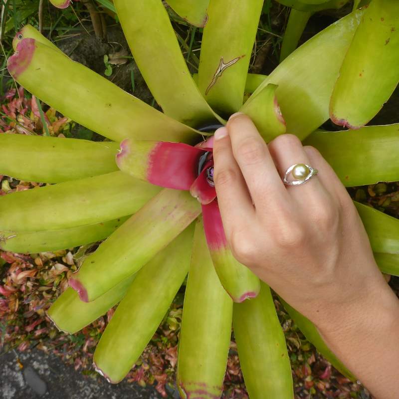 Cicely Cliff Sustainable Silver Rings